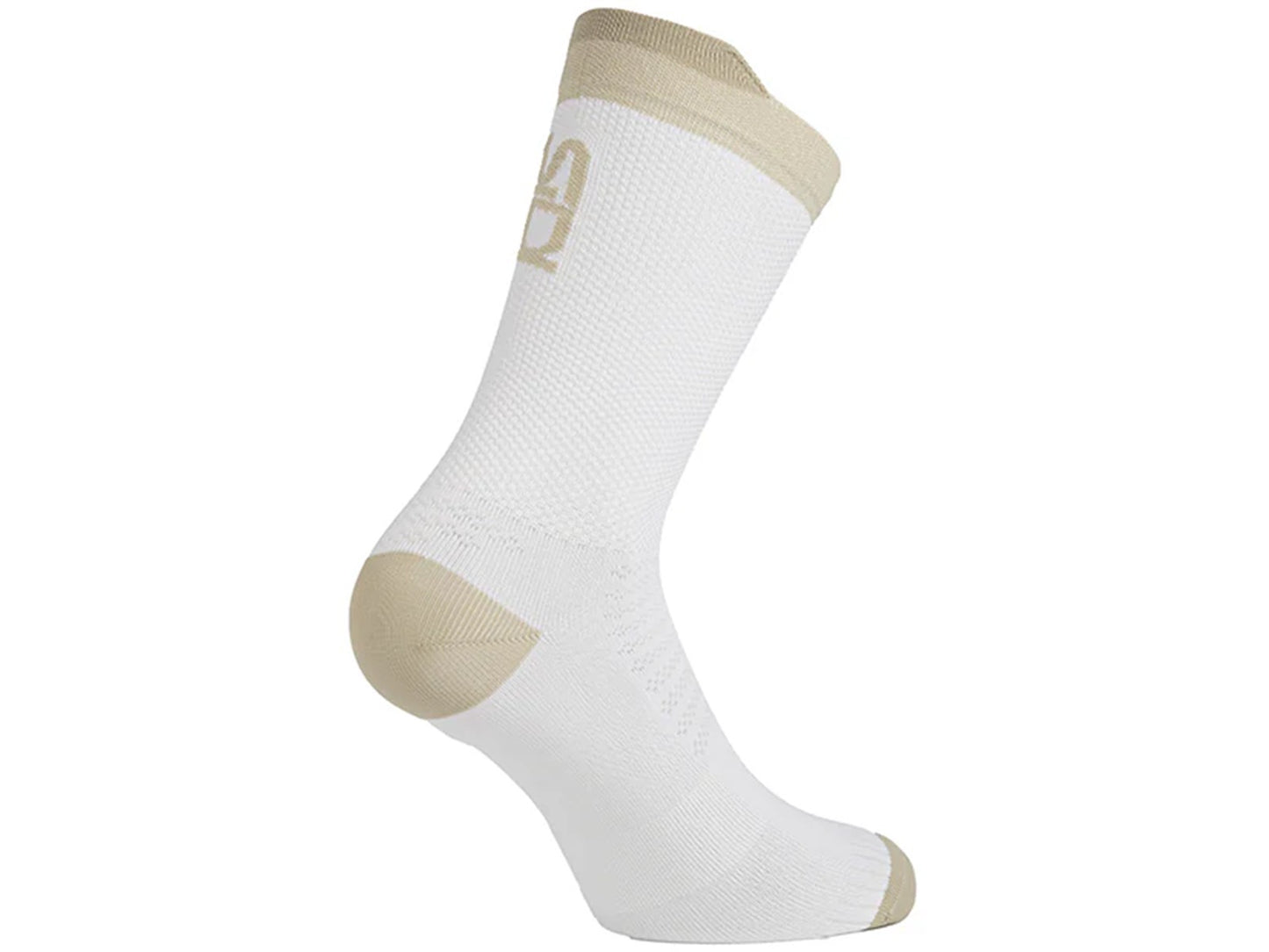 CALCETIN SIDI NITIIDUS