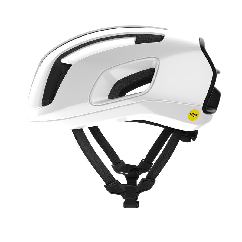 CASCO POC CYTAL